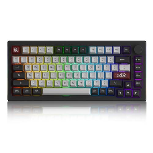 Akko 5075B Plus Gasket-Mount Tastatur Kabellos Bluetooth, 75% US Layout Mechanical Gaming Keyboard mit Side RGB-Streifen, Swappable Switch, ASA PBT Tasten, Drehknopf für Win/Mac (Dracula Castle) von Akko