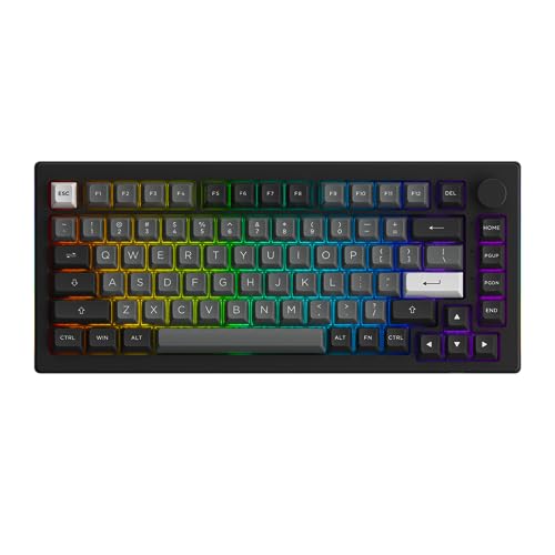 Akko 5075B Plus Mechanische Tastatur 75% Prozent RGB Hot-Swap-fähige Tastatur mit Knopf, Schwarz & Silber Thema mit PBT Double Shot ASA Profil Tastenkappen V3 Silver Pro von Akko