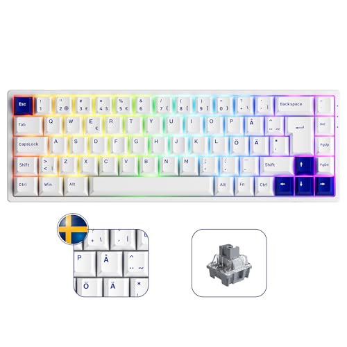 Akko Blau Weiß 3068B Plus RGB Mechanische Gaming Tastatur, Deutschland/Nordisch Layout, 3 Modes Tragbare Kabellos Tastatur, 5 Pin Hot Swap, Cherry PBT Keycap, 100% Anti-Ghosting (Speed Silber) von Akko