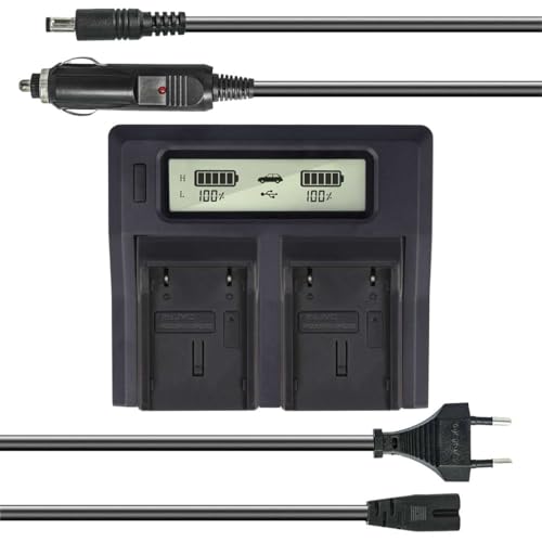 Dual Akku-Ladegerät kompatibel mit JVC BN-V408U, BN-V416U, BN-V428U - mit USB-Anschluss, LCD-Display und Kfz-Ladekabel - Schnellladegerät von Akku-King