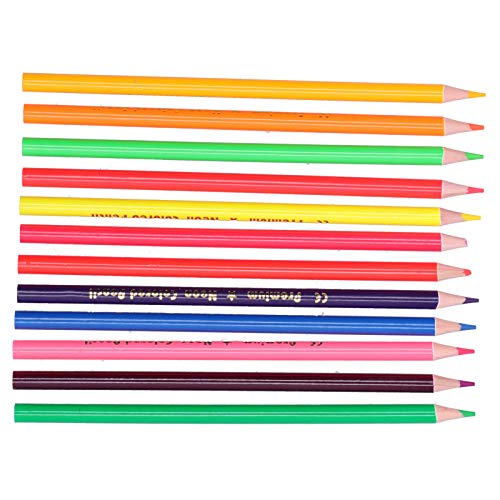 Komplette Set von 12 Künstlerischen Metallischen und Fluoreszierenden Farbigen Stiften Lebendige Farbskizze -Sammlung für Graffiti Malerei Ideale Kunstversorgungskünstler Künstler (Fluoreszierende Komplette Set von 12 Künstlerischen Metallischen und Fluoreszierenden Farbigen Stiften Lebendige Farbskizze -Sammlung für Graffiti Malerei Ideale Kunstversorgungskünstler Künstler (Fluoreszierende von Akozon