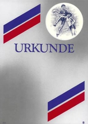 Albert Hoffmann Urkundenverlag Handball / 310 / 1075 / Herren / PC-Urkunden (170 g/m²) 10 Stk von Albert Hoffmann Urkundenverlag