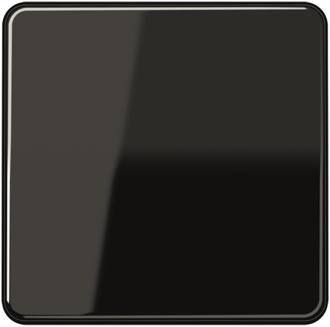 JG Wippe Wechsel CD590SW schwarz JG Wippe Wechsel CD590SW schwarz von Albrecht Jung GmbH & Co. KG