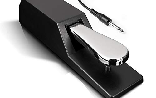 Alesis ASP-2 - Universelles Sustain-Pedal mit Piano-Style-Action für MIDI-Keyboards, Digitalpianos und mehr von Alesis