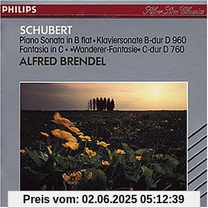 Klaviersonate D 960 / Wanderer-Fantasie von Alfred Brendel