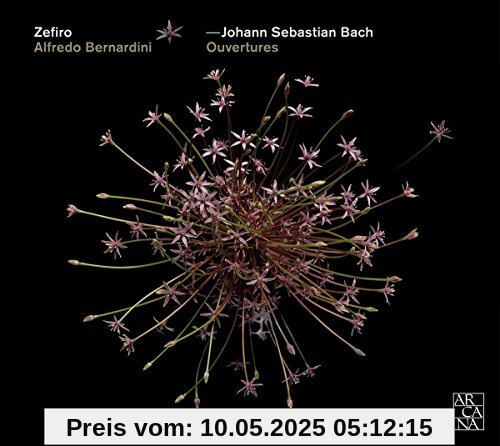 J. B. Bach: Orchestersuiten - BWV 119R, 1066, 1068, 194R, 1069 J. B. Bach: Orchestersuiten - BWV 119R, 1066, 1068, 194R, 1069 von Alfredo Bernardini