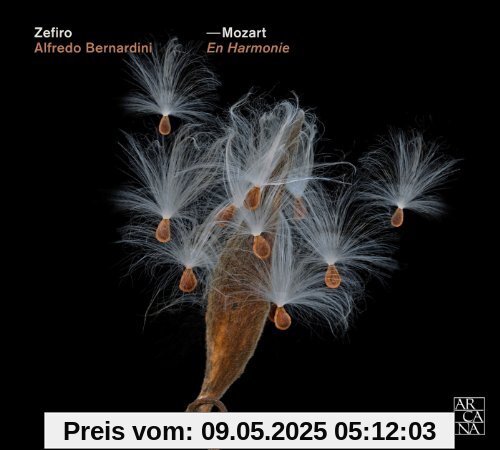 Mozart: Harmoniemusiken aus le Nozze di Figaro,Don Giovan von Alfredo Bernardini