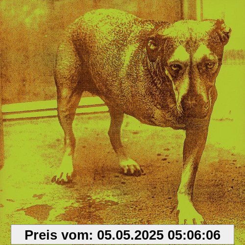 Alice in Chains Alice in Chains von Alice in Chains
