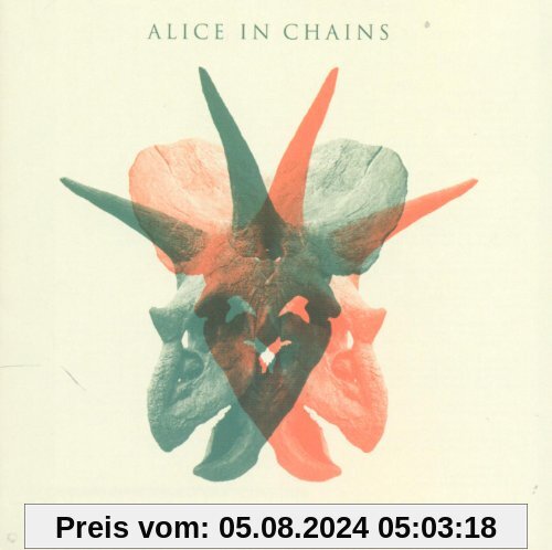 The Devil Put Dinosaurs Here von Alice in Chains