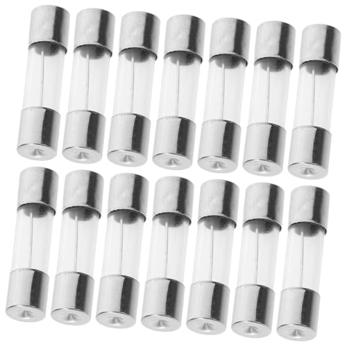 Alipis 100 Stück Sicherungsrohr aus Glas Material schmelzbar Mini-Sicherungen Automobil Sicherung für Weihnachtsbeleuchtung Glas Sicherung 250-V-Sicherung Kupfer Silver von Alipis