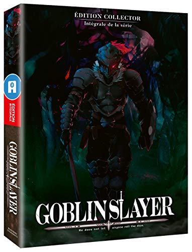 Goblin slayer - intégrale saison 1 [Blu-ray] [FR Import] von All Anime