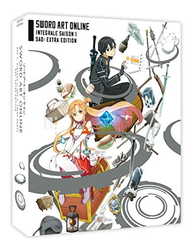 Sword art online, saison 1 + extra (oav) [5 DVDs] [FR Import] von All Anime