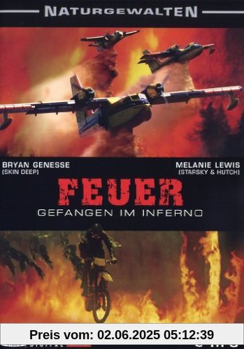 Feuer - Gefangen im Inferno von Allan A. Goldstein
