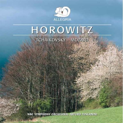 Tschaikowskij / Mozart Tschaikowskij / Mozart von Allegria