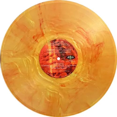 Kodak Ghosts Run Amok [Vinyl LP] von Alliance Entertainment