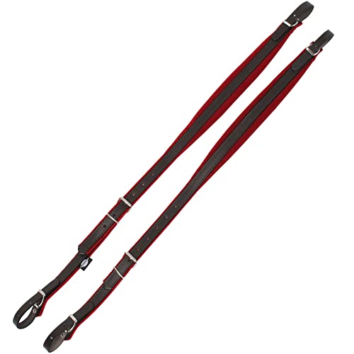 Alpenklang Harmonikariemen Standard für Akkordeon 48 Bass rot/braun (Längenverstellbar 75-85cm, Riemenbreite 3,5cm, Polsterung) von Alpenklang