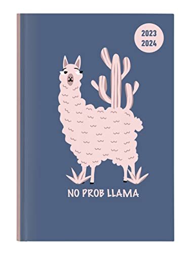 Collegetimer Llama 2023/2024 - Schüler-Kalender A5 (15x21 cm) - Lama - Weekly - 224 Seiten - Terminplaner - Alpha Edition (Collegetimer A5 Weekly) von Alpha Edition