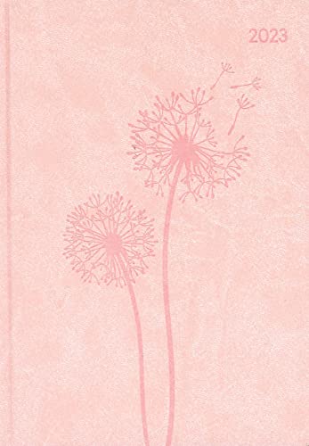 Ladytimer Grande Deluxe Salmon 2023 - Taschen-Kalender A5 (15x21 cm) - Tucson Einband - mit Motivprägung - Weekly - 128 Seiten - Alpha Edition von Alpha Edition