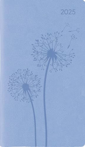 Alpha Edition - Ladytimer Slim Deluxe 2025 Sky, 9x15,6cm, Taschenkalender mit 128 Seiten im Tucson Einband, 1 Woche auf 2 Seiten, Monatsübersicht, Mondphasen und internationales Kalendarium Alpha Edition - Ladytimer Slim Deluxe 2025 Sky, 9x15,6cm, Taschenkalender mit 128 Seiten im Tucson Einband, 1 Woche auf 2 Seiten, Monatsübersicht, Mondphasen und internationales Kalendarium von Alpha Edition
