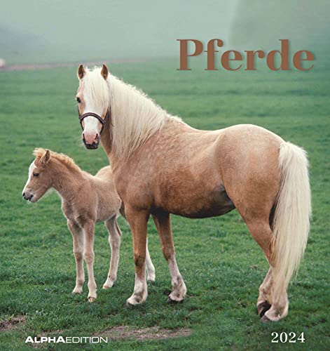 Pferde 2024 - Postkartenkalender 16x17 cm - Horses - zum Aufstellen oder Aufhängen - Monatskalendarium - Gadget - Mitbringsel - Alpha Edition von Alpha Edition