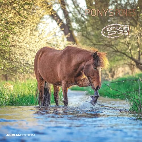 Ponys 2025 - Broschürenkalender 30x30 cm (30x60 geöffnet) - Kalender mit Platz für Notizen - Ponies - Bildkalender - Wandplaner - Pferdekalender: Ponies - Pferde von Alpha Edition