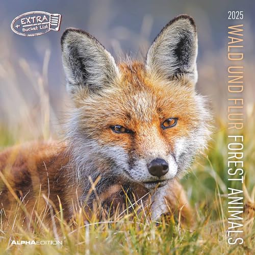 Wald und Flur 2025 - Broschürenkalender 30x30 cm (30x60 geöffnet) - Kalender mit Platz für Notizen - Forest Animals - Bildkalender - Wandkalender: Forest & Meadow Animals von Alpha Edition