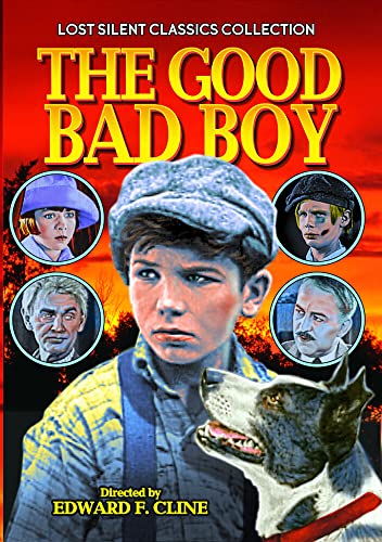 Good Bad Boy [DVD] [1924] [Region 1] [NTSC] von Alpha Video