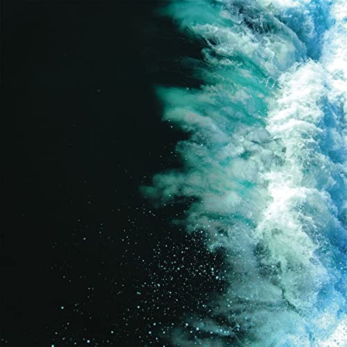 It Comes to Us All [Vinyl LP] von ALTER