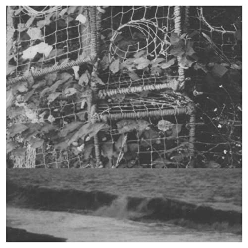 The Processes And Instruments Of Normal People [Vinyl LP] von ALTER