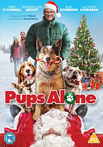 Pups Alone [DVD] [2021] von Altitude Film Distribution