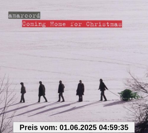 Coming Home for Christmas von amarcord