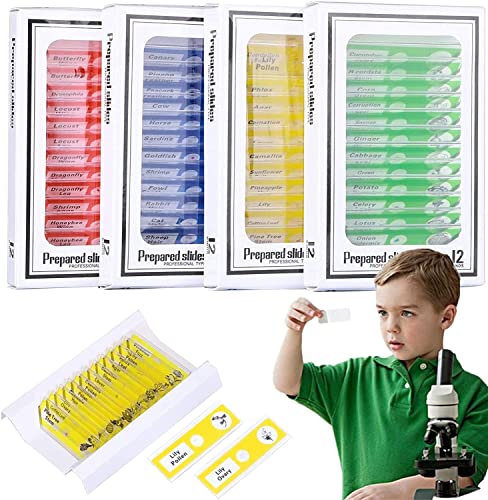 48 Stück Mikroskop Objektträger Biologischen, Mikroskop Probe Folie, Kinder Mikroskop Objektträger, Kinder Objektträger Biologischen, für Labor Biologie und Wissenschaft Studium 48 Stück Mikroskop Objektträger Biologischen, Mikroskop Probe Folie, Kinder Mikroskop Objektträger, Kinder Objektträger Biologischen, für Labor Biologie und Wissenschaft Studium von Amasawa