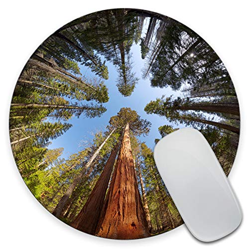 Amcove Rundes Gaming-Mauspad, personalisierbar, riesige Sequoia-Bäume, rundes Mauspad, Yosemite National Park Mauspad, Bürobedarf, Geschenk für Freund, Schreibtischzubehör von Amcove
