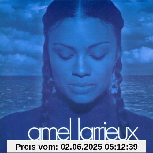 Infinite Possibilities Infinite Possibilities von Amel Larrieux