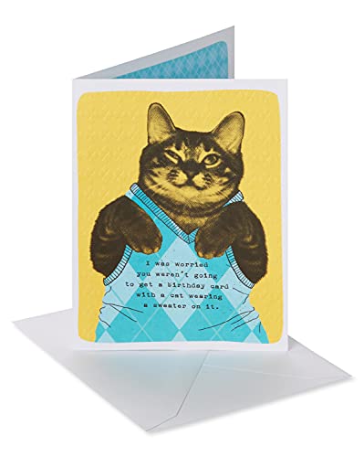 American Greetings Lustige Geburtstagskarte (Katze trägt Argyle-Pullover) von American Greetings