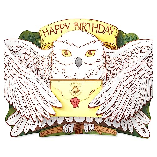 American Greetings Pop Up Harry Potter Geburtstagskarte (gefüllt mit Magie!) von American Greetings