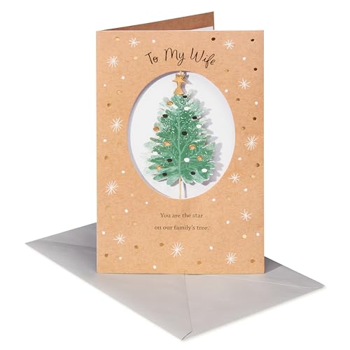 American Greetings Weihnachtskarte für Ehefrau (Our Life Together) von American Greetings