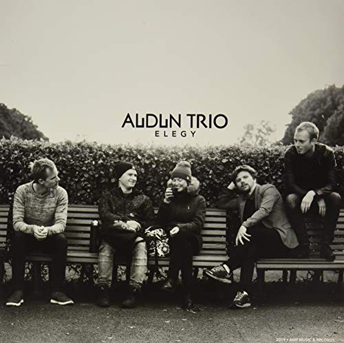 Elegy [Vinyl LP] von AMP