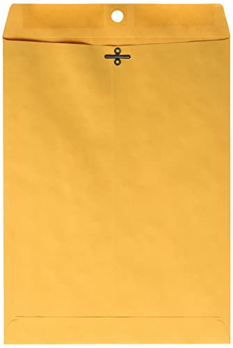 Ampad Clasp Envelope, Brown Kraft, 9 x 12, 100-Box (73108) von Ampad