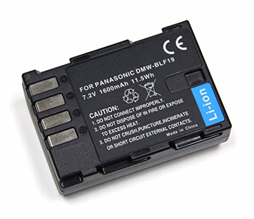 Amsahr Digital Replacement Camera and Camcorder Battery for Panasonic DMW-BLF19, DMWBLF19E von Amsahr