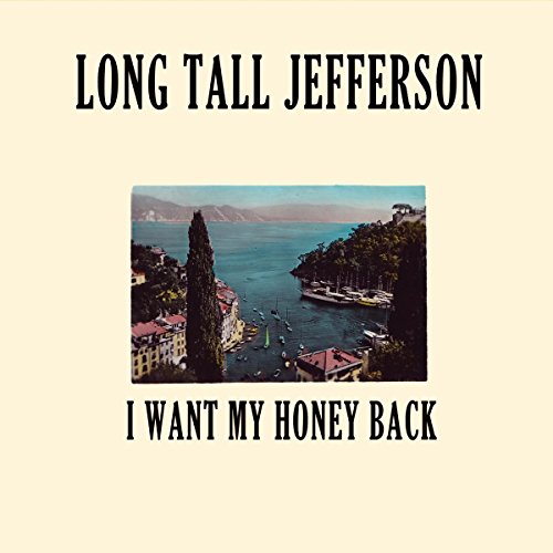 I Want My Honey Back [Vinyl LP] von Analogsoul (Broken Silence)