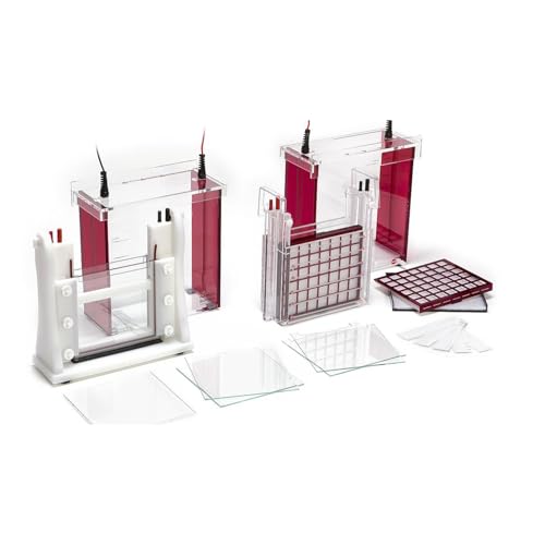 Analytik Jena Eco-Mini E Elektrophorese System für 2 x 1.0mm Geldicke von Analytik Jena