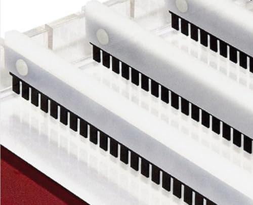 Analytik Jena Kamm für Biometra Eco-Maxi Elektrophorese, 30 Zähnig, 0.75mm Dicken von Analytik Jena