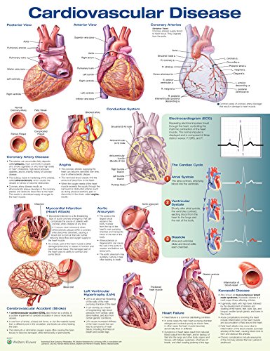 Cardiovascular Disease von Anatomy Stuff