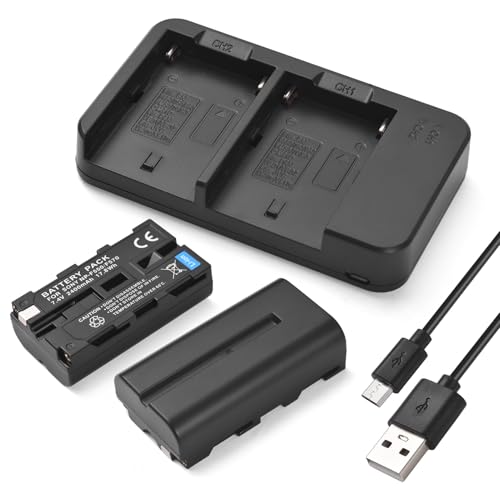 Andoer Kamera NP-F550/F570 Akku- und Ladegerät-Set mit 2-Schlitz-Akkuladegerät + 2 Stück NP-F550/F570 Akkus 7,4 V 2400 mAh + USB-Ladekabel für Sony NP-F970 F750 F770 F960 F550 F530 F330 F570 CCD-SC55 von Andoer