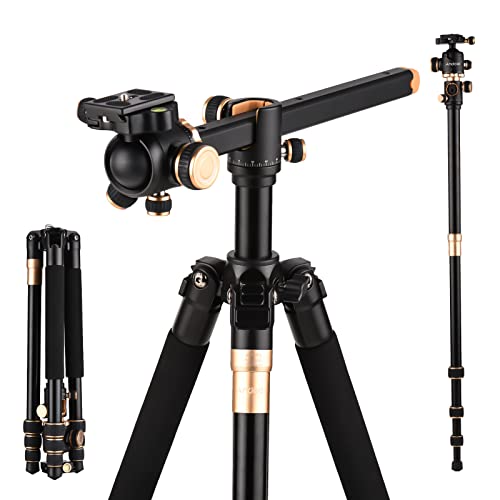 Andoer Kamera Stativ 184cm, Tragbares Kamerastativ Einbeinstativ mit 360° drehbarer Kugelkopf, Tragetasche für DSLR-Kamera-Camcorder-Smartphone, 8kg/17.6lbs Tragfähigkeit Andoer Kamera Stativ 184cm, Tragbares Kamerastativ Einbeinstativ mit 360° drehbarer Kugelkopf, Tragetasche für DSLR-Kamera-Camcorder-Smartphone, 8kg/17.6lbs Tragfähigkeit von Andoer