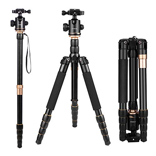 Andoer Q 666 Pro DSLR Kamera-Stativ Einbeinstativ Kugelkopf Veränderbar Tragbare Compact Reisenstativ Andoer Q 666 Pro DSLR Kamera-Stativ Einbeinstativ Kugelkopf Veränderbar Tragbare Compact Reisenstativ von Andoer