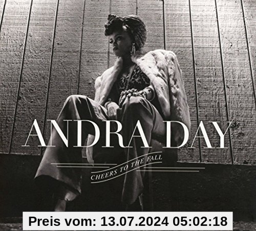 Cheers to the Fall von Andra Day