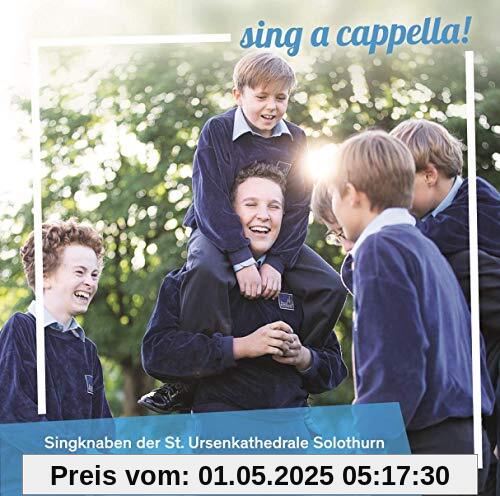 Sing a Cappella! von Andreas Reize