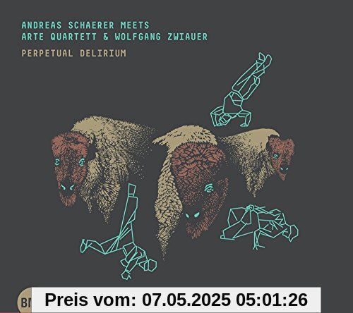 Perpetual Delirium von Andreas Schaerer